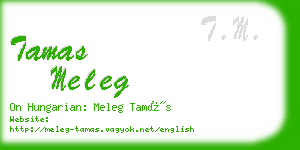 tamas meleg business card